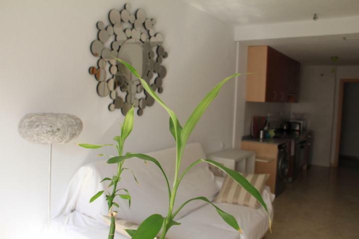 Sunny Apartments, Centre Appartement